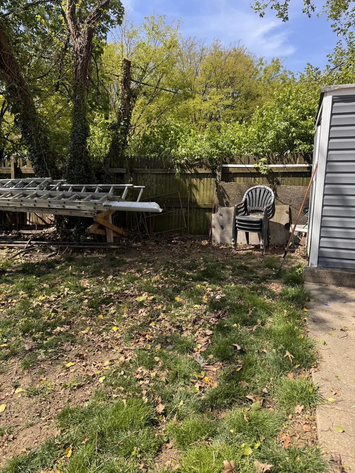 Yard after junk removal