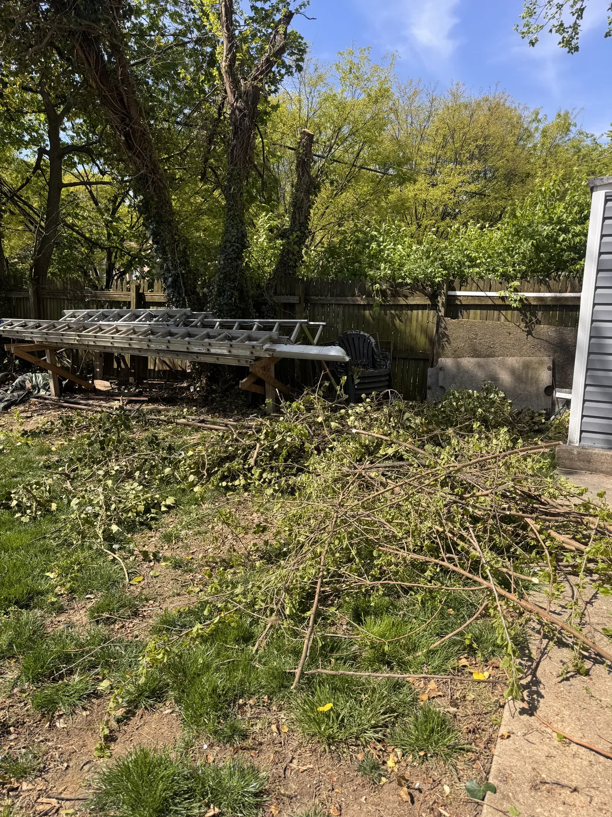 Yard before junk removal